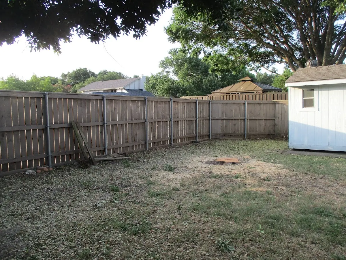 Cleared yard after professional tree removal in Baxter